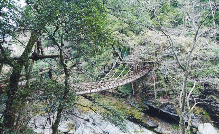 日本祖谷蔓橋修復