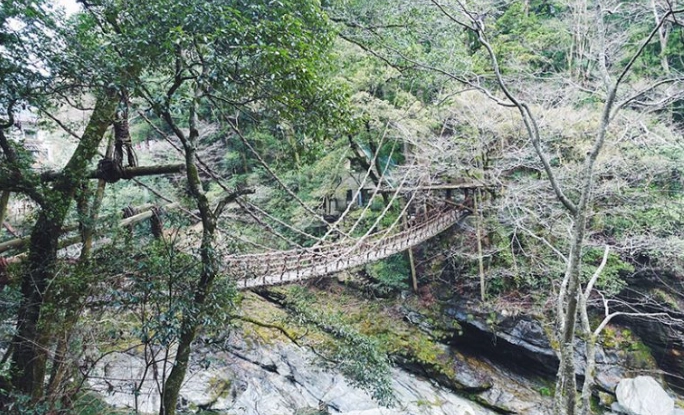 祖谷蔓橋行程
