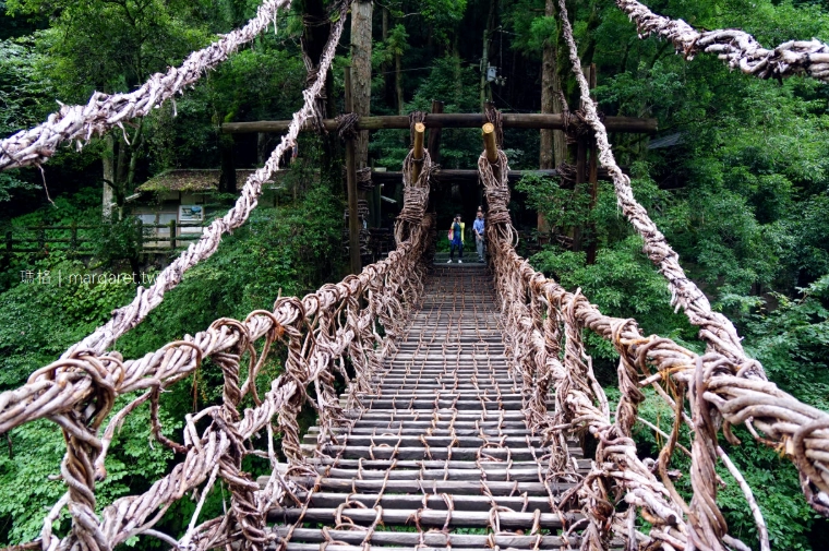 祖谷藤蔓橋遊覽時間 祖谷藤蔓橋遊覽時間