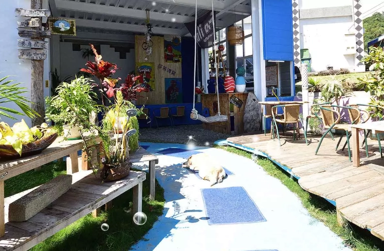 雜貨店兒子民宿價格