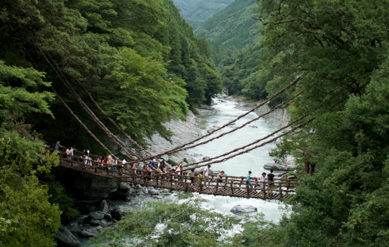 祖谷藤蔓橋遊覽時間 祖谷藤蔓橋遊覽時間