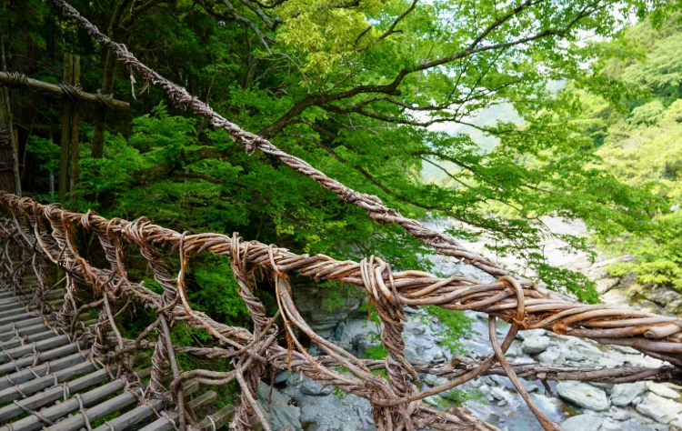 祖谷藤蔓橋參觀時間 祖谷藤蔓橋參觀時間
