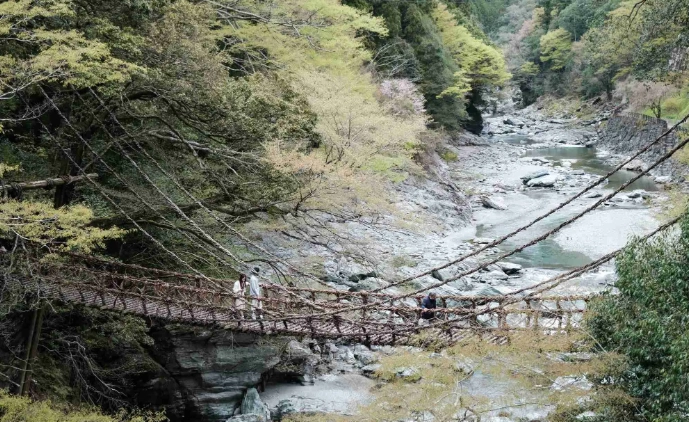 祖谷藤蔓橋 駐車場
