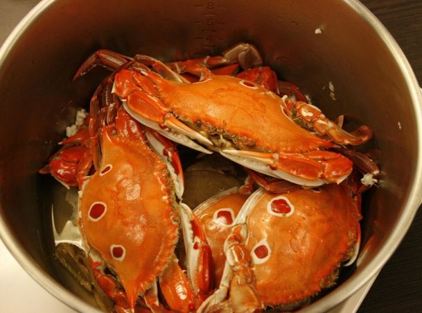 螃蟹蒸煮時間 螃蟹蒸煮時間