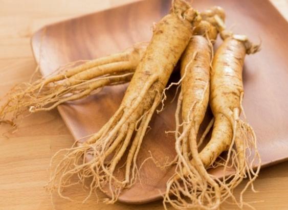 鮮人參副作用 鮮人參副作用