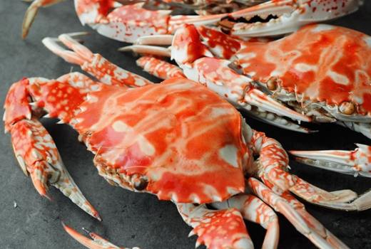 螃蟹料理食譜 螃蟹料理食譜