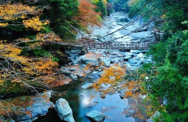 德島祖谷蔓橋攻略 德島祖谷蔓橋攻略