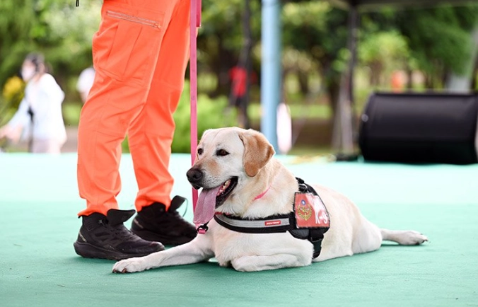 動物農場親子遊
