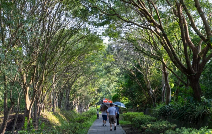苗栗適合長輩旅遊