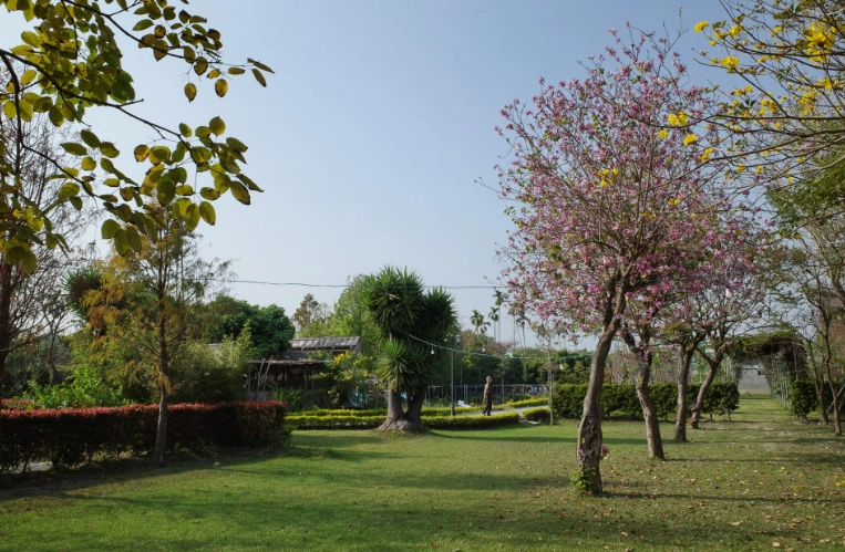 星錡休閒農場評論