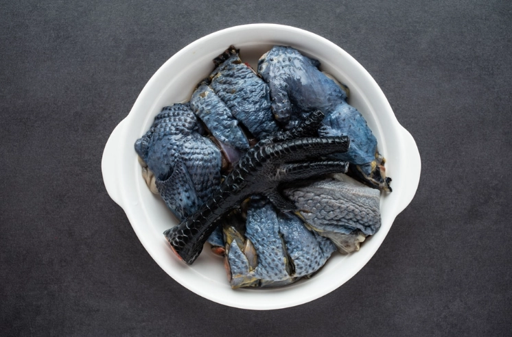 烏骨雞養殖方法 烏骨雞養殖方法