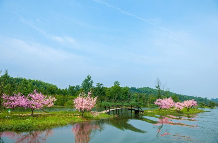 桃园景点地图 桃园景点地图