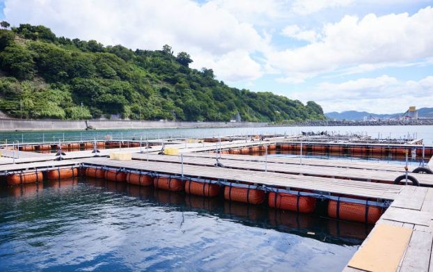 和歌山城周邊旅遊 和歌山城周邊旅遊