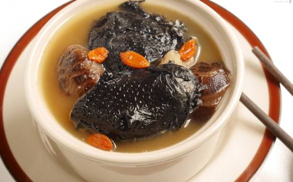 烏骨雞食療 烏骨雞食療