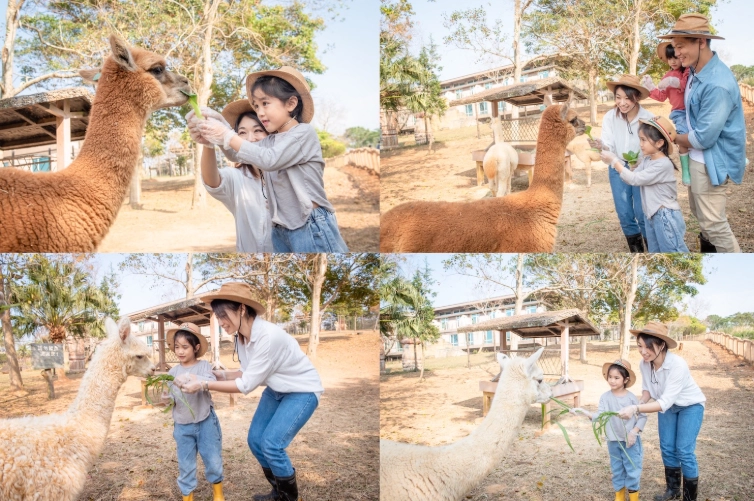 關西六福莊住宿