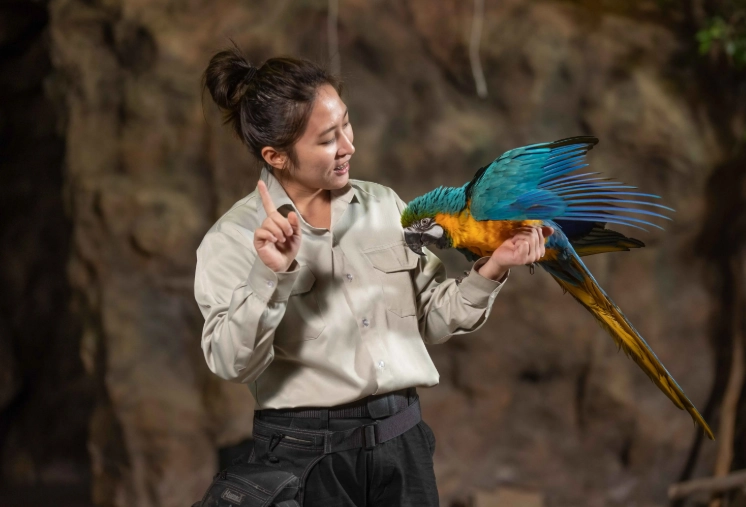 台灣家庭旅遊景點
