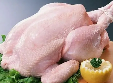 安全解凍雞肉 安全解凍雞肉