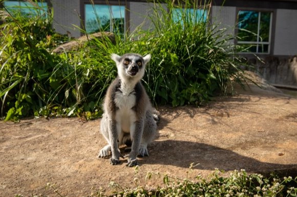 復式空間設計 復式空間設計