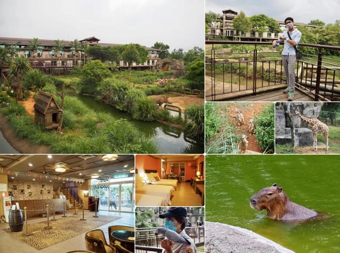 野生動物園攻略