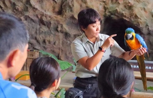 台灣動物體驗旅遊