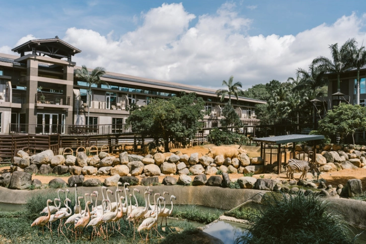 六福莊動物體驗