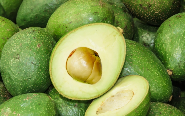 曬酪梨方法 曬酪梨方法