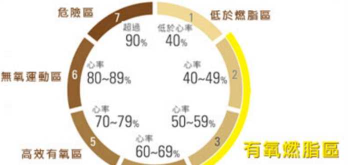 脂肪燃燒運動 脂肪燃燒運動