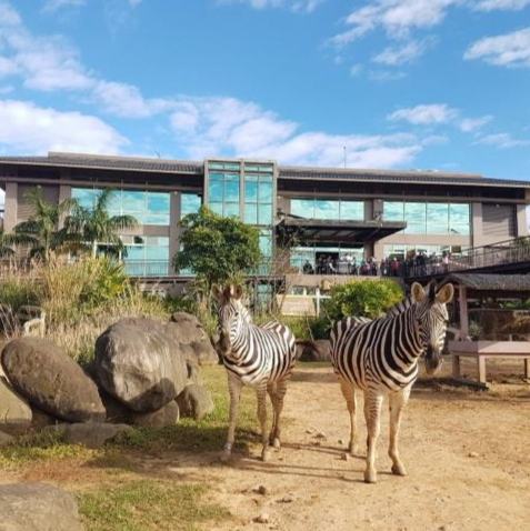 六福村剛果藍天 六福村剛果藍天