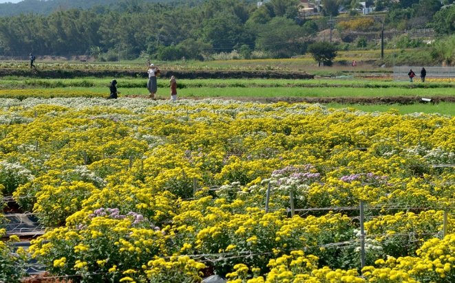 銅鑼旅遊攻略 銅鑼旅遊攻略