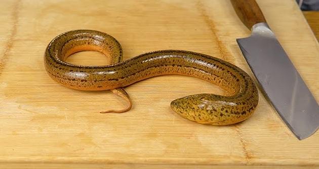 台灣小吃做法 台灣小吃做法