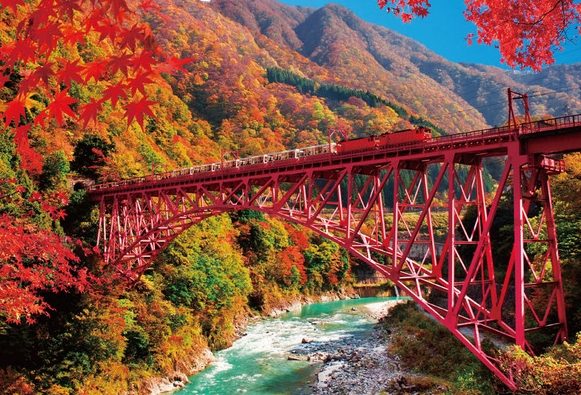 富山楓葉季節