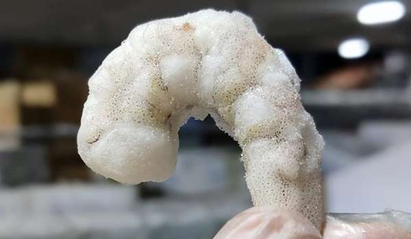 解凍蝦仁注意事項 解凍蝦仁注意事項