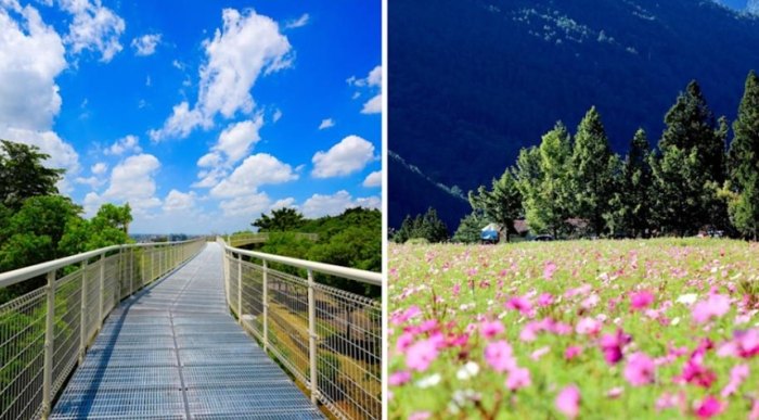 適合行動不便老人旅遊景點中部