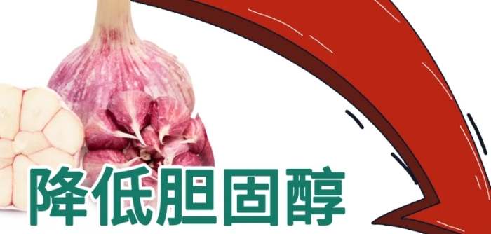 膽固醇可以降低嗎