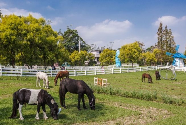桃園親子農場 桃園親子農場