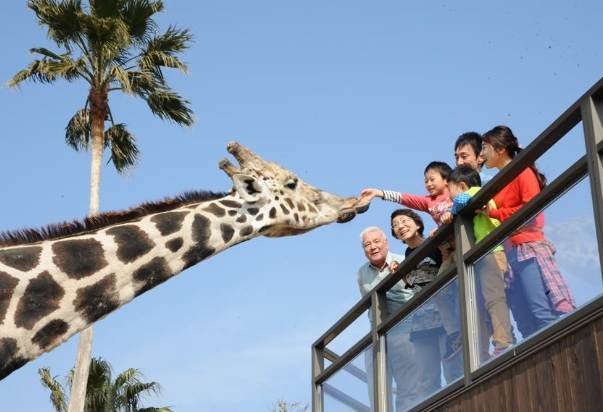 和歌山親子旅遊