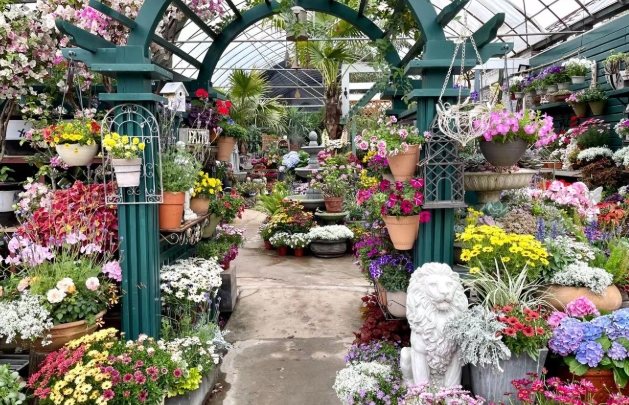 建國花市購物 建國花市購物