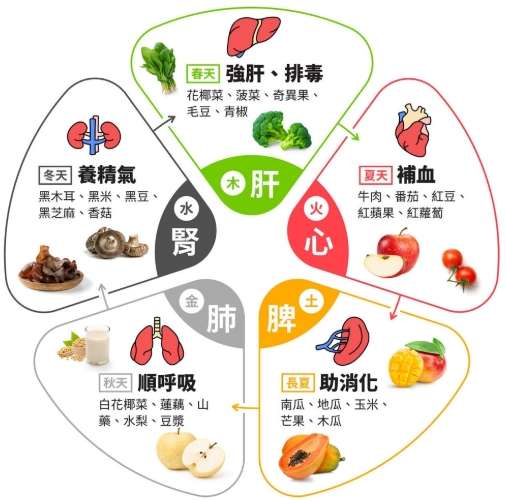 中醫食療脂肪肝 中醫食療脂肪肝