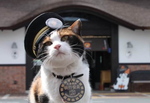 和歌山家庭景點