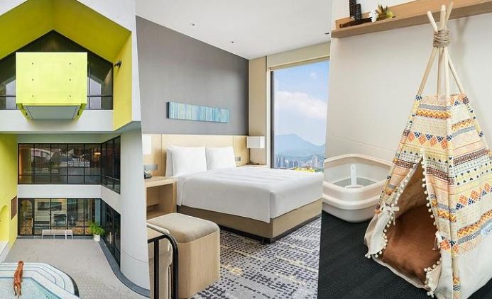 帶寵物住宿注意事項 帶寵物住宿注意事項