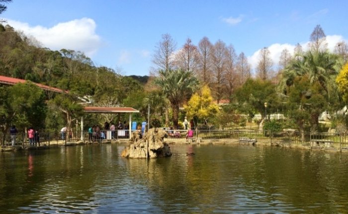 新竹休閒農場 新竹休閒農場