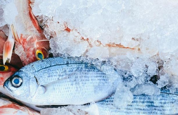 魚類解凍技巧 魚類解凍技巧