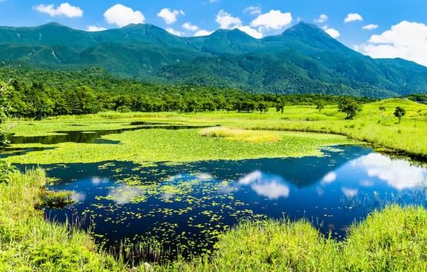 北海道旅遊自駕 北海道旅遊自駕