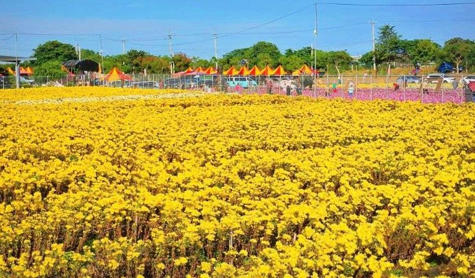 銅鑼免費景點 銅鑼免費景點