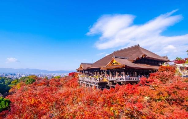 關西旅遊美食 關西旅遊美食