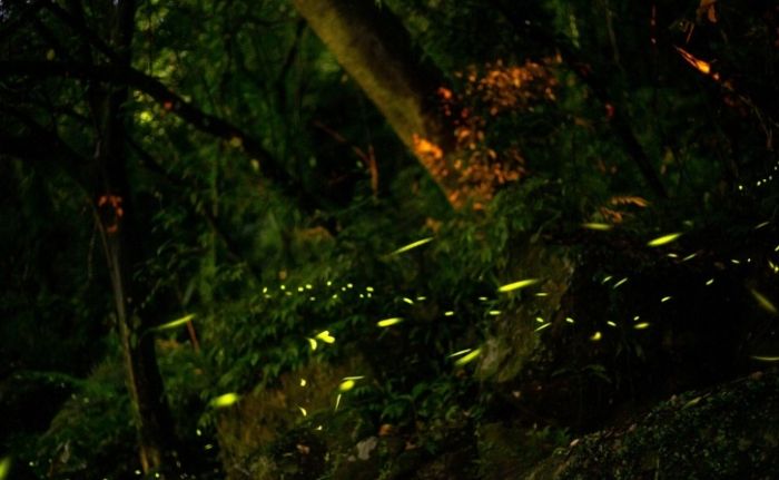 石門水庫旅遊 石門水庫旅遊