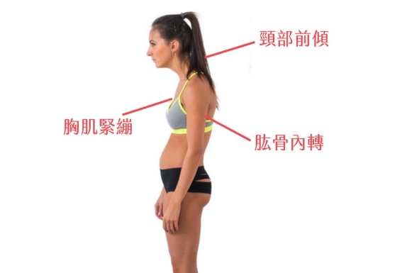 圓肩檢測 圓肩檢測