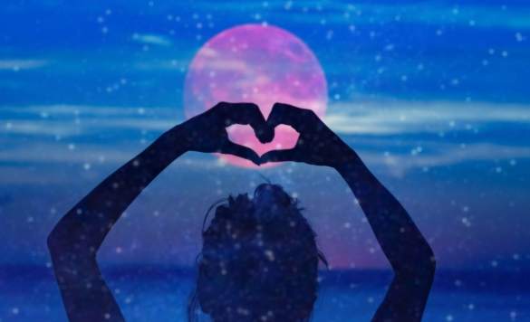 摩羯座金星配對 摩羯座金星配對