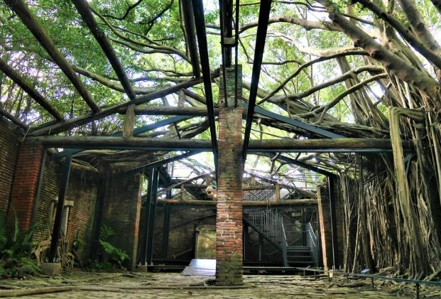 台南雨天景點 台南雨天景點