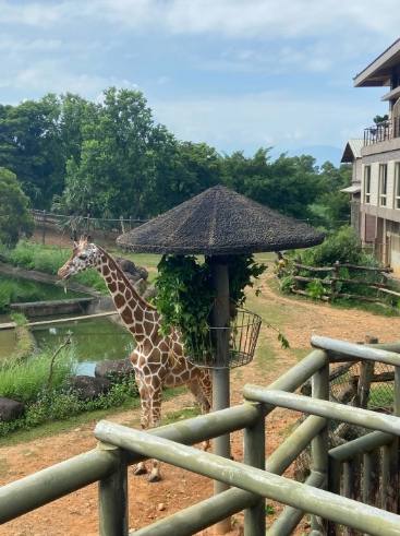 剛果藍天旅遊 剛果藍天旅遊